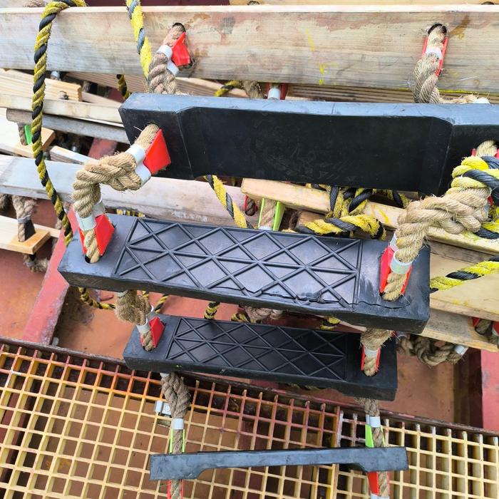Pilot ladders